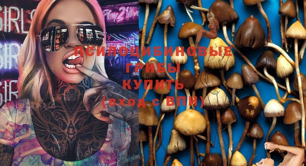крисы Заволжье