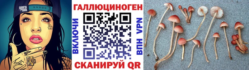 hydra   Сосновка  Галлюциногенные грибы Cubensis  купить наркоту 